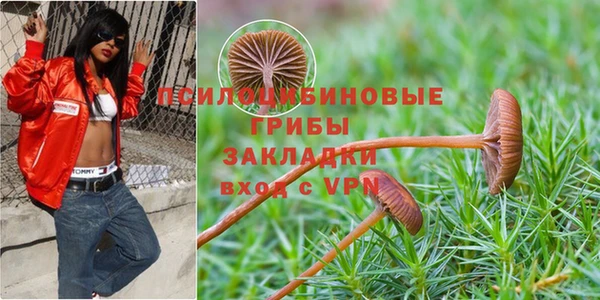 2c-b Горняк