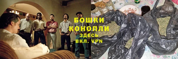 PSILOCYBIN Слюдянка