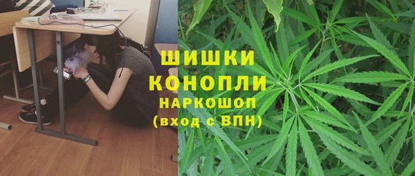 2c-b Горняк