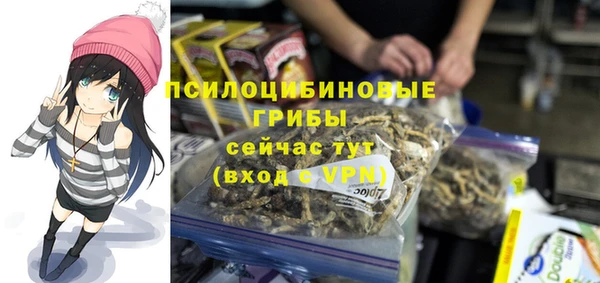 PSILOCYBIN Слюдянка