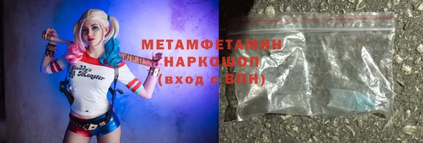индика Гусев