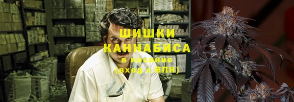 spice Гусиноозёрск