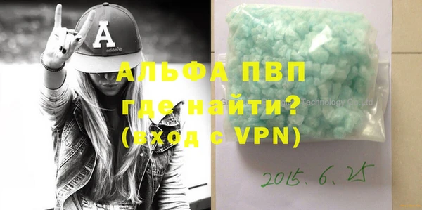 индика Гусев